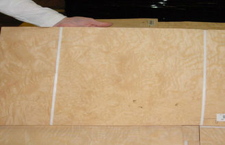 Folheado de madeira projetado Burl cortado do corte com espessura de 0.45mm