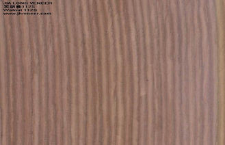 O corte cortado projetou a noz de madeira do folheado para a mobília/portas