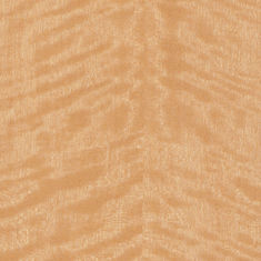 MDF dourado natural do folheado da madeira de vidoeiro com técnicas cortadas do corte